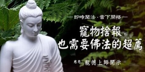 龍德上師:寵物捨報也需要佛法的超薦 龍德上師寵物捨報也需要佛法的超薦