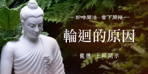 龍德上師:輪迴的原因 龍德上師輪迴的原因