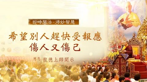 龍德上師希望別人趕快受報應傷人又傷己