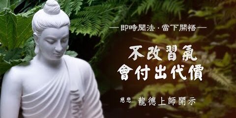 龍德上師:不改習氣,會付出代價 龍德上師不改習氣會付出代價