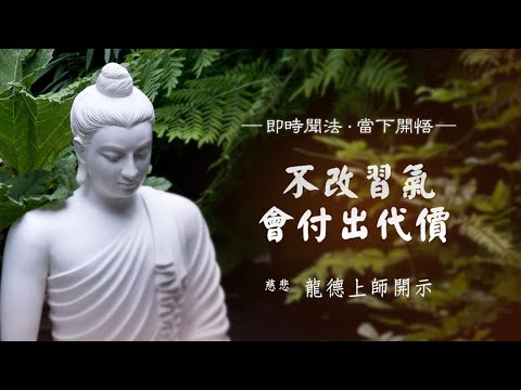 龍德上師不改習氣會付出代價