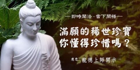 龍德上師滿願的稀世珍寶你懂得珍惜嗎
