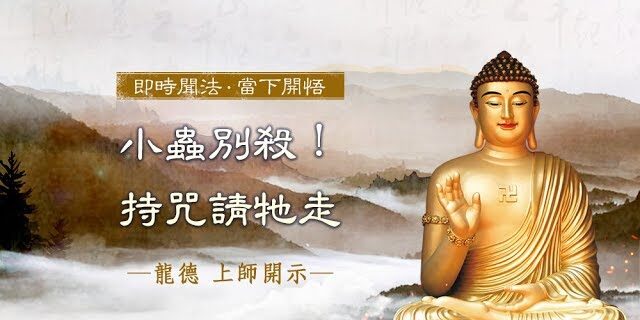 龍德上師小蟲別殺持咒請牠走