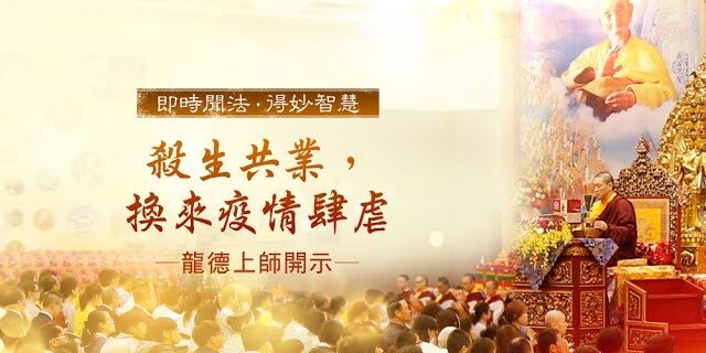 龍德上師殺生共業換來疫情肆虐