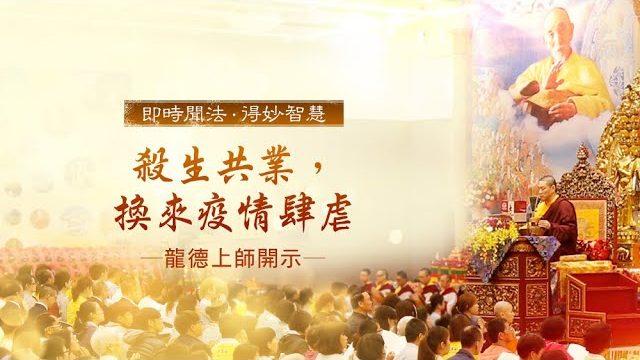龍德上師殺生共業換來疫情肆虐