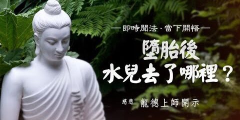 龍德上師:墮胎後水兒去了哪裡? 龍德上師墮胎後水兒去了哪裡