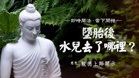 龍德上師墮胎後水兒去了哪裡