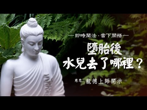 龍德上師墮胎後水兒去了哪裡