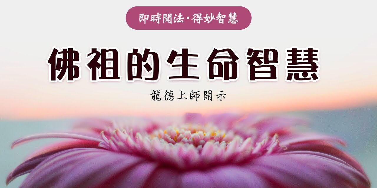 龍德上師:佛祖的生命智慧 龍德上師 佛祖的生命智慧