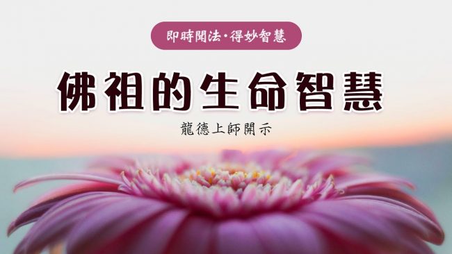 龍德上師 佛祖的生命智慧