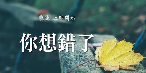 龍德上師:你想錯了 龍德上師 你想錯了