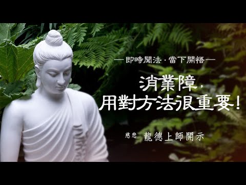 龍德上師消業障用對方法很重要