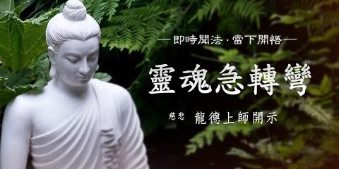 龍德上師:靈魂急轉彎 龍德上師 靈魂急轉彎