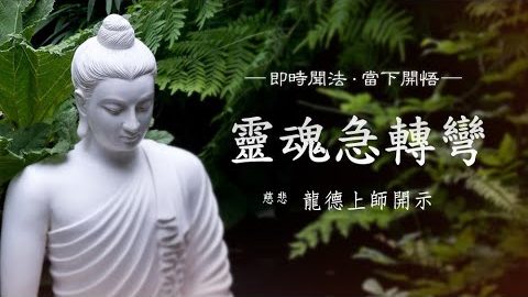 龍德上師 靈魂急轉彎