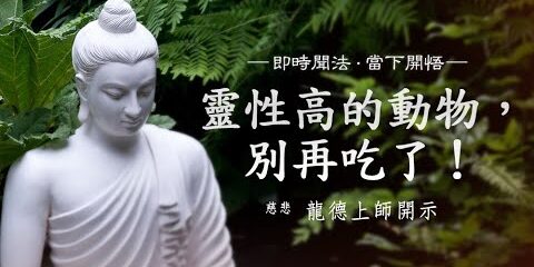 龍德上師:靈性高的動物,別再吃了!