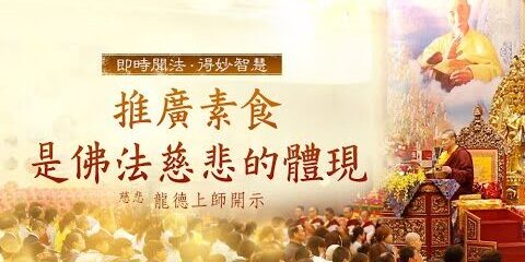 龍德上師:推廣素食是佛法慈悲的體現