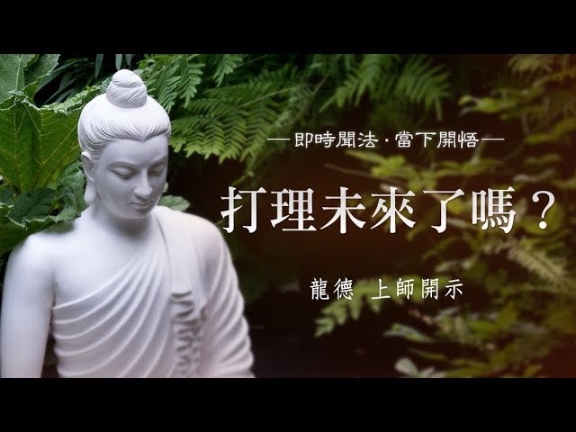 龍德上師打理未來了嗎