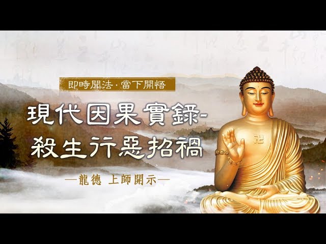 龍德上師現代因果實錄殺生行惡招禍