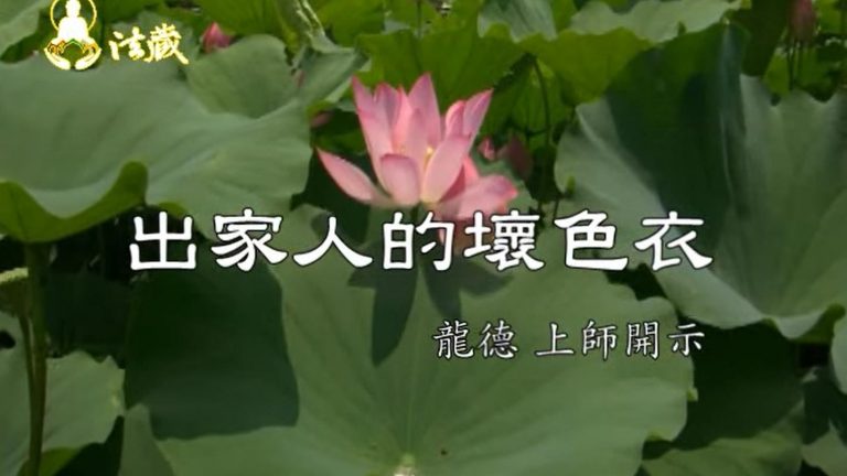 龍德嚴淨仁波切出家人的壞色衣 The dark cloth for the monk.