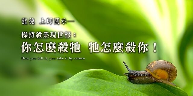 龍德上師說因果操持殺業現世報你怎麼殺牠牠怎麼殺你 龍德上師說因果操持殺業現世報你怎麼殺牠牠怎麼殺你
