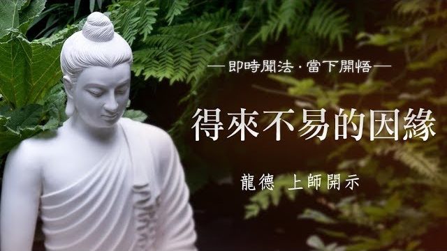 龍德 上師：得來不易的因緣