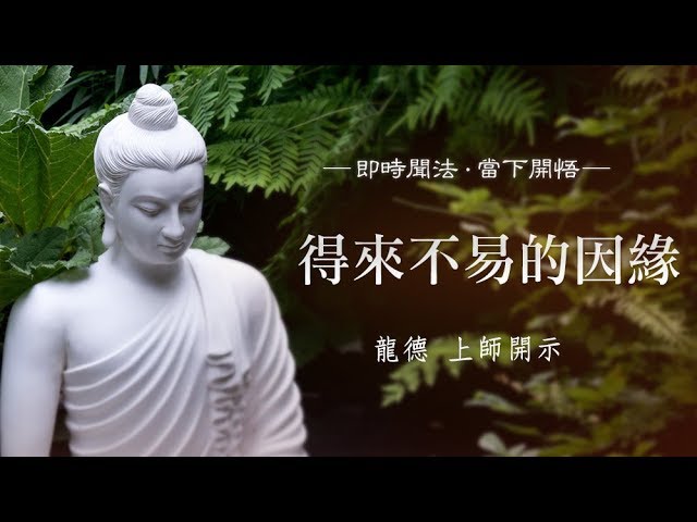 龍德 上師：得來不易的因緣