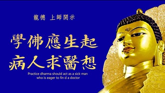 龍德 上師：學佛應生起病人求醫想