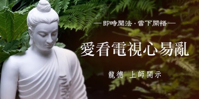 龍德 上師愛看電視心易亂 龍德 上師愛看電視心易亂