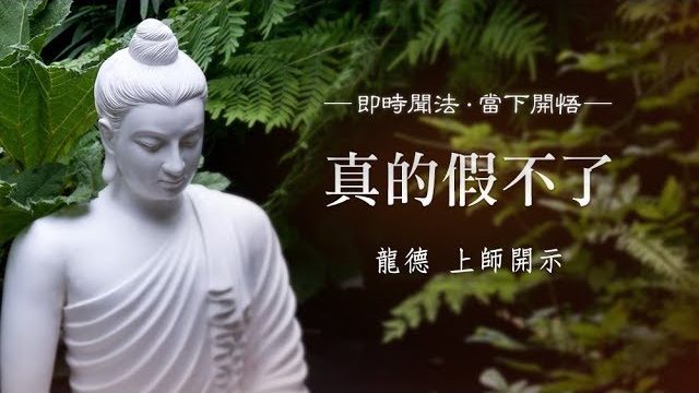 龍德 上師：真的假不了