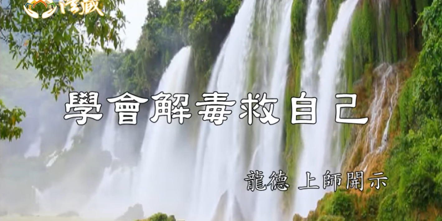 龍德 上師：學會解毒救自己