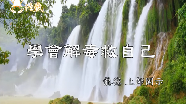 龍德 上師：學會解毒救自己