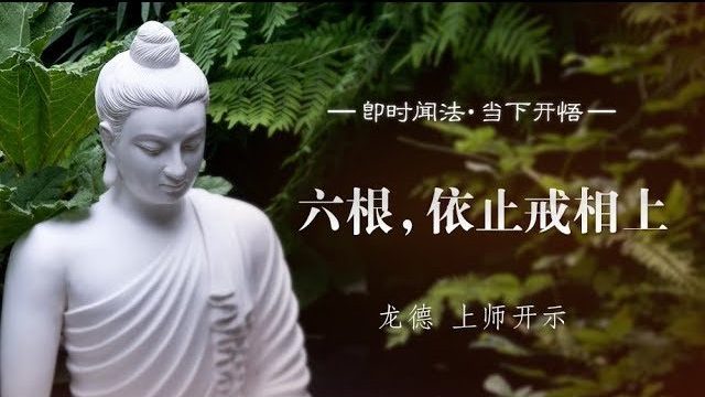 龙德 上师：六根，依止戒相上