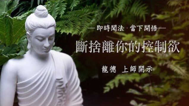 龍德 上師：斷捨離你的控制欲