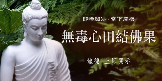 龍德上師:無毒心田結佛果 龍德上師:無毒心田結佛果