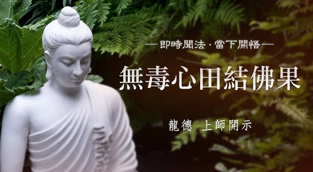 龍德上師：無毒心田結佛果