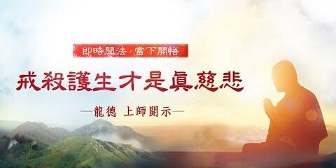 龍德上師:戒殺護生才是真慈悲