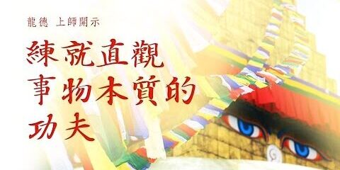龍德上師:練就直觀事物本質的功夫