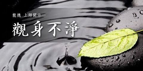 龍德上師:觀身不淨