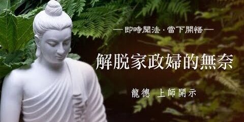 龍德上師:解脫家政婦的無奈