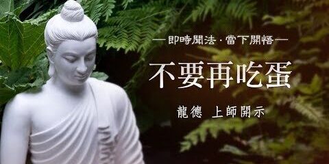龍德上師:不要再吃蛋